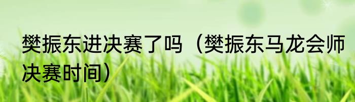 樊振东进决赛了吗（樊振东马龙会师决赛时间）