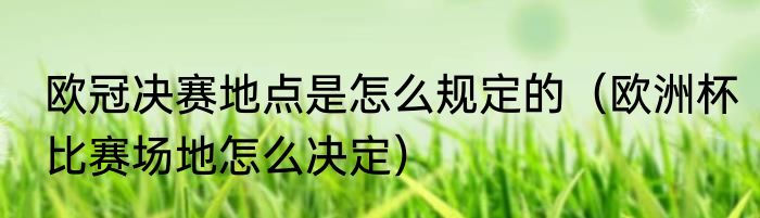 欧冠决赛地点是怎么规定的（欧洲杯比赛场地怎么决定）