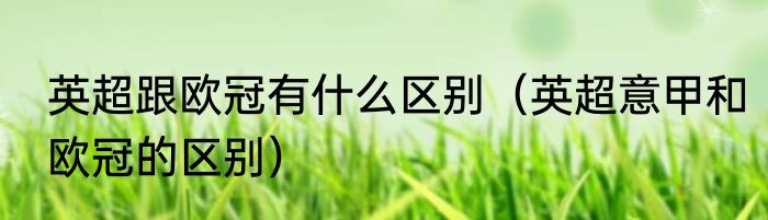 英超跟欧冠有什么区别（英超意甲和欧冠的区别）