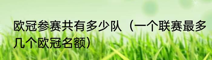 欧冠参赛共有多少队（一个联赛最多几个欧冠名额）