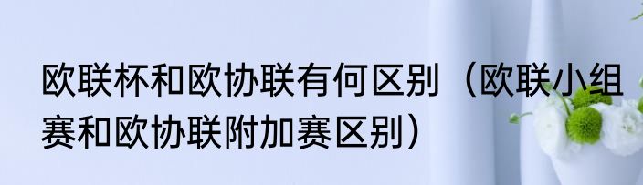 欧联杯和欧协联有何区别（欧联小组赛和欧协联附加赛区别）