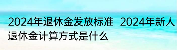 2024年退休金发放标准  2024年新人退休金计算方式是什么