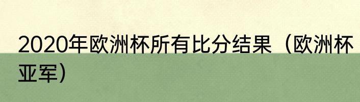 2020年欧洲杯所有比分结果（欧洲杯亚军）