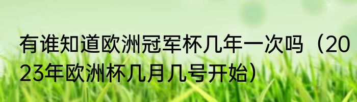 有谁知道欧洲冠军杯几年一次吗（2023年欧洲杯几月几号开始）