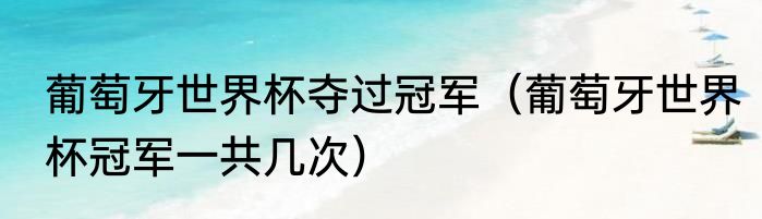 葡萄牙世界杯夺过冠军（葡萄牙世界杯冠军一共几次）