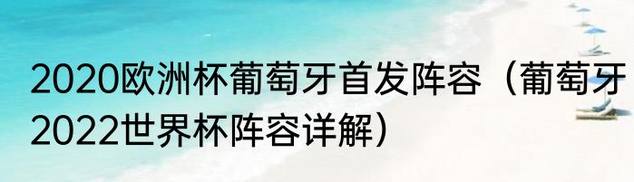 2020欧洲杯葡萄牙首发阵容（葡萄牙2022世界杯阵容详解）