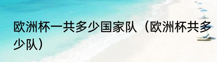 欧洲杯一共多少国家队（欧洲杯共多少队）