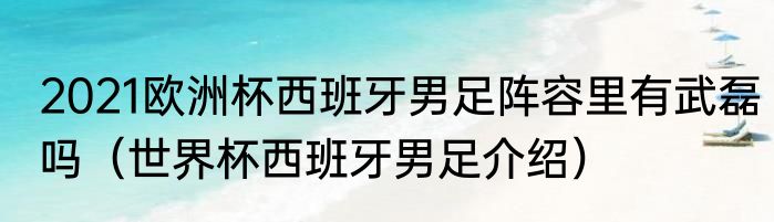 2021欧洲杯西班牙男足阵容里有武磊吗（世界杯西班牙男足介绍）