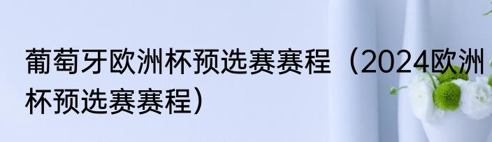葡萄牙欧洲杯预选赛赛程（2024欧洲杯预选赛赛程）