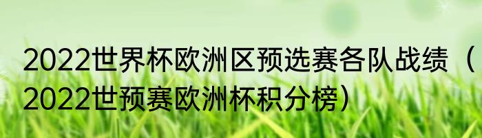 2022世界杯欧洲区预选赛各队战绩（2022世预赛欧洲杯积分榜）