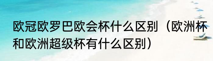 欧冠欧罗巴欧会杯什么区别（欧洲杯和欧洲超级杯有什么区别）