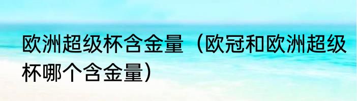 欧洲超级杯含金量（欧冠和欧洲超级杯哪个含金量）