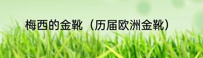 梅西的金靴（历届欧洲金靴）