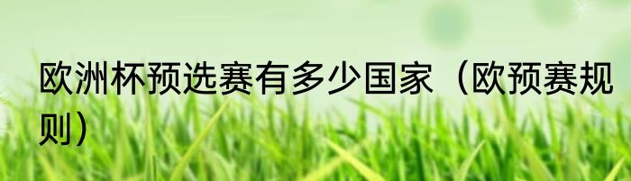 欧洲杯预选赛有多少国家（欧预赛规则）