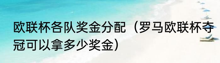 欧联杯各队奖金分配（罗马欧联杯夺冠可以拿多少奖金）