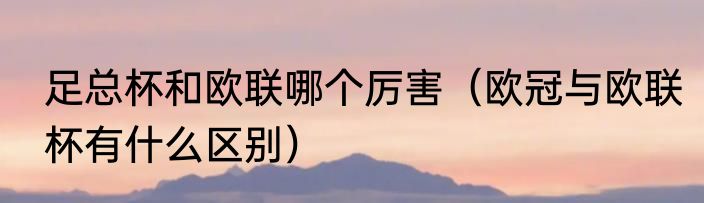 足总杯和欧联哪个厉害（欧冠与欧联杯有什么区别）