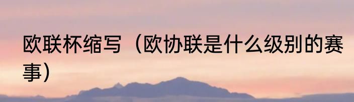 欧联杯缩写（欧协联是什么级别的赛事）