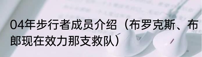 04年步行者成员介绍（布罗克斯、布郎现在效力那支救队）