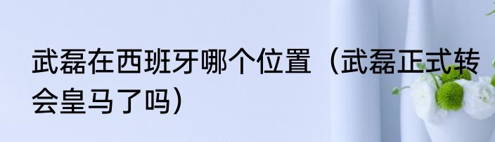 武磊在西班牙哪个位置（武磊正式转会皇马了吗）