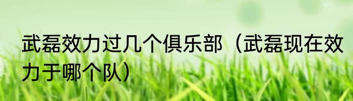 武磊效力过几个俱乐部（武磊现在效力于哪个队）