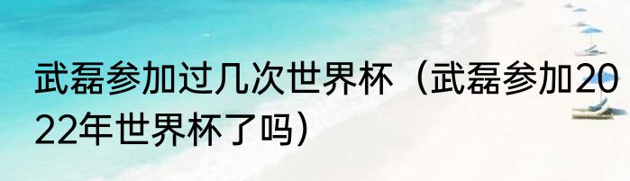 武磊参加过几次世界杯（武磊参加2022年世界杯了吗）