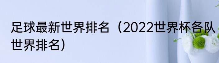 足球最新世界排名（2022世界杯各队世界排名）