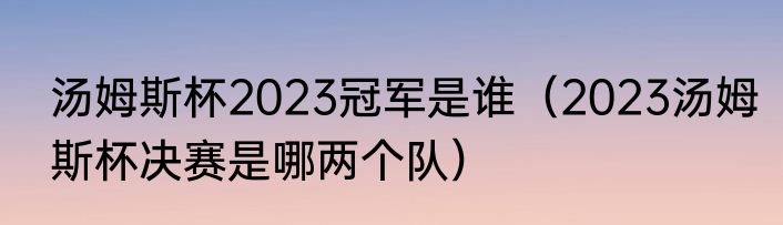 汤姆斯杯2023冠军是谁（2023汤姆斯杯决赛是哪两个队）