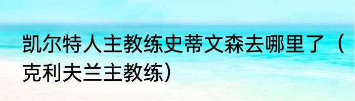 凯尔特人主教练史蒂文森去哪里了（克利夫兰主教练）