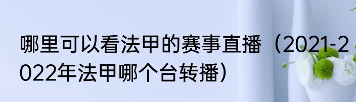 哪里可以看法甲的赛事直播（2021-2022年法甲哪个台转播）