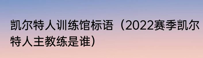 凯尔特人训练馆标语（2022赛季凯尔特人主教练是谁）