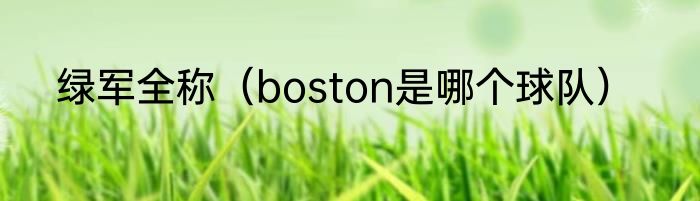 绿军全称（boston是哪个球队）