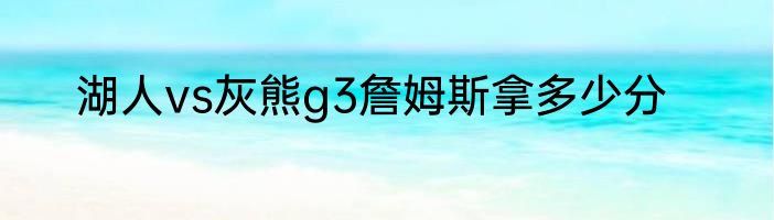 湖人vs灰熊g3詹姆斯拿多少分