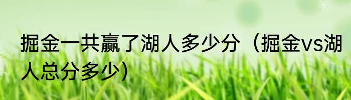 掘金一共赢了湖人多少分（掘金vs湖人总分多少）
