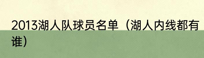 2013湖人队球员名单（湖人内线都有谁）