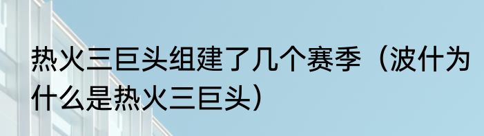 热火三巨头组建了几个赛季（波什为什么是热火三巨头）