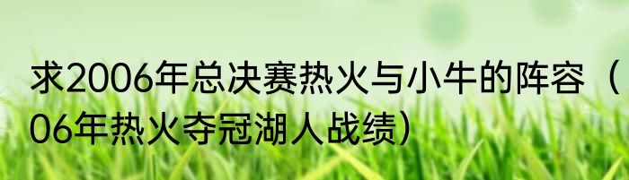 求2006年总决赛热火与小牛的阵容（06年热火夺冠湖人战绩）