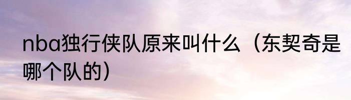 nba独行侠队原来叫什么（东契奇是哪个队的）