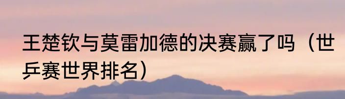 王楚钦与莫雷加德的决赛赢了吗（世乒赛世界排名）