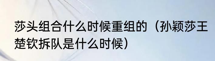 莎头组合什么时候重组的（孙颖莎王楚钦拆队是什么时候）
