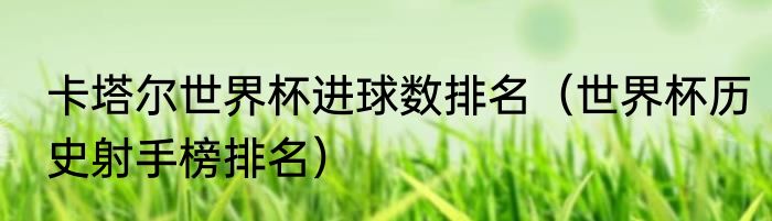 卡塔尔世界杯进球数排名（世界杯历史射手榜排名）