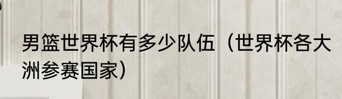 男篮世界杯有多少队伍（世界杯各大洲参赛国家）