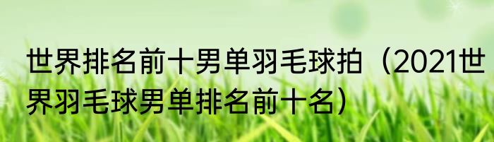 世界排名前十男单羽毛球拍（2021世界羽毛球男单排名前十名）
