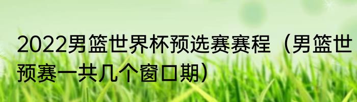 2022男篮世界杯预选赛赛程（男篮世预赛一共几个窗口期）