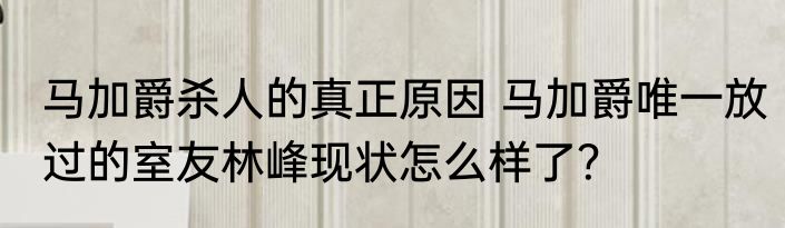 马加爵杀人的真正原因 马加爵唯一放过的室友林峰现状怎么样了？