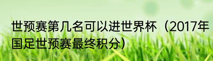 世预赛第几名可以进世界杯（2017年国足世预赛最终积分）