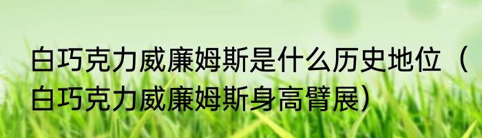 白巧克力威廉姆斯是什么历史地位（白巧克力威廉姆斯身高臂展）