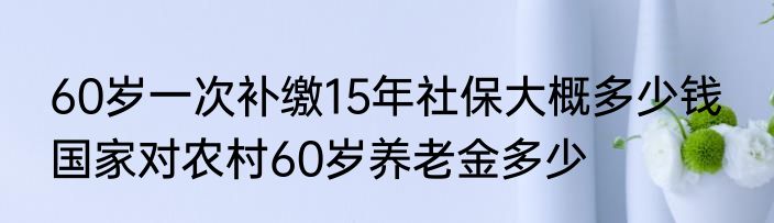 60岁一次补缴15年社保大概多少钱  国家对农村60岁养老金多少