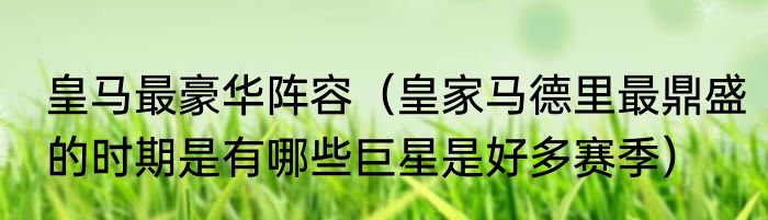 皇马最豪华阵容（皇家马德里最鼎盛的时期是有哪些巨星是好多赛季）