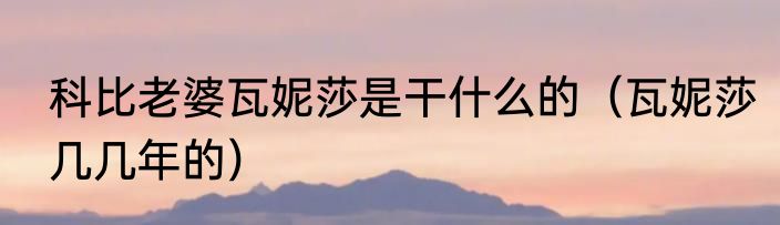 科比老婆瓦妮莎是干什么的（瓦妮莎几几年的）