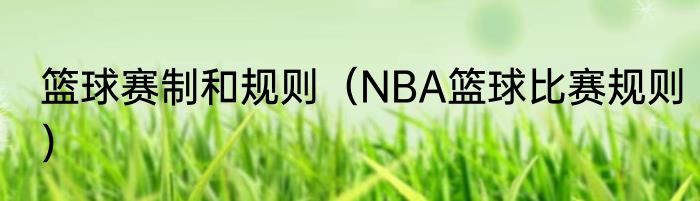 篮球赛制和规则（NBA篮球比赛规则）